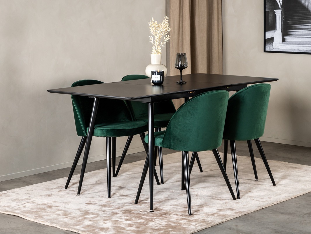 Essgruppe Dallas 1521