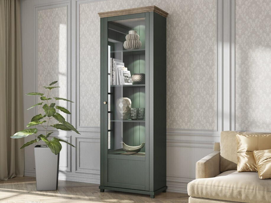 Regal Tolnue 101