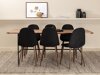 Essgruppe Dallas 2786
