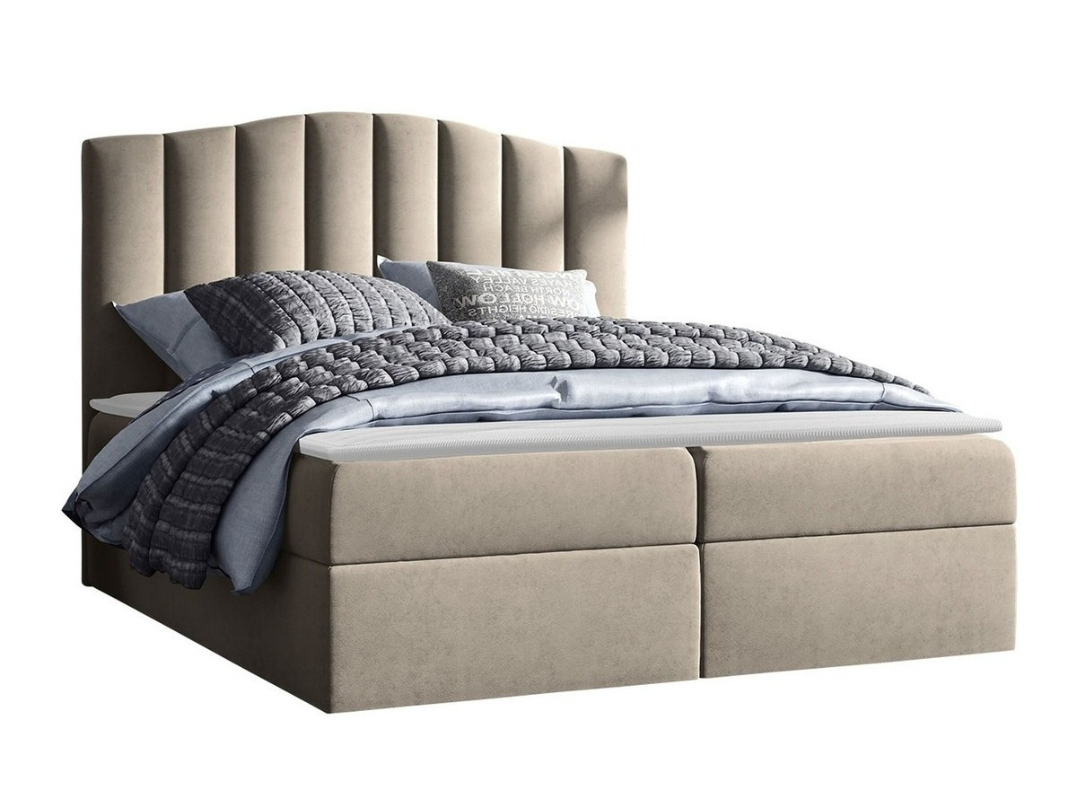 Boxspringbett Cantus (Casablanca 2303)