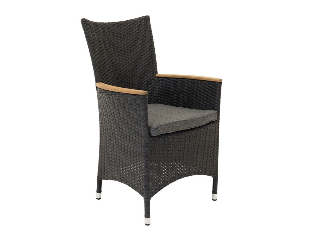 Gartensessel Dallas 3843