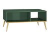 Wohnzimmer-Sets Flonovu 109 (Dunkelgrün + Gold)