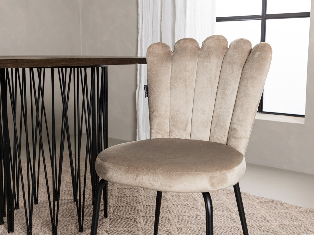 Essgruppe Dallas 3905