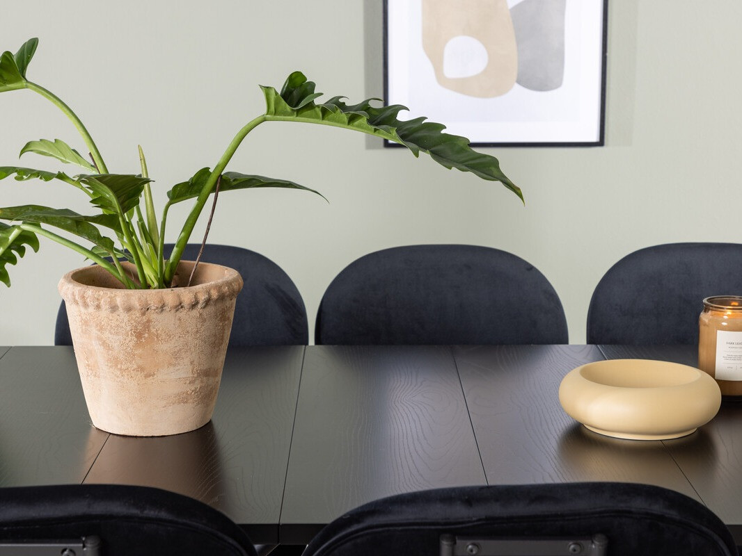 Essgruppe Dallas 3967