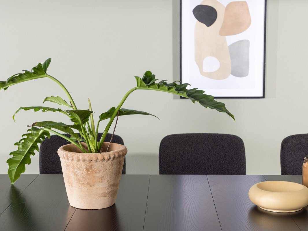 Essgruppe Dallas 3968