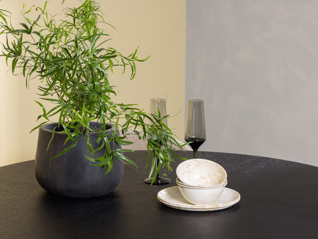 Essgruppe Dallas 3972