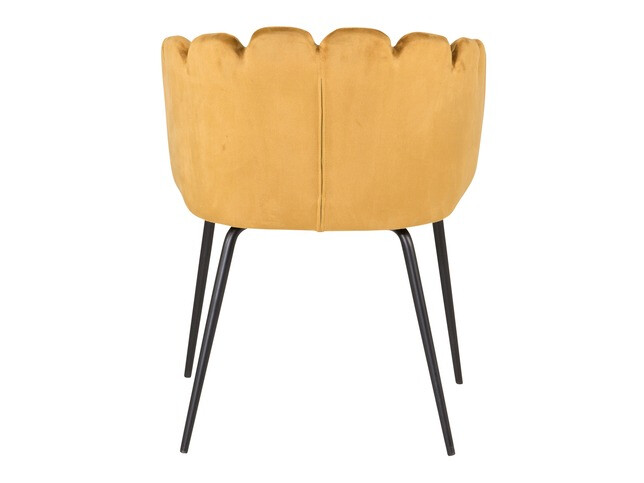 Essgruppe Dallas 313 (Gelb + Schwarz)