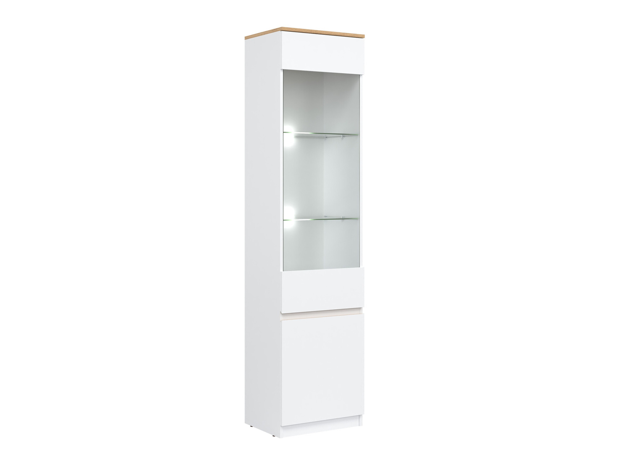 Regal Catelbi 121