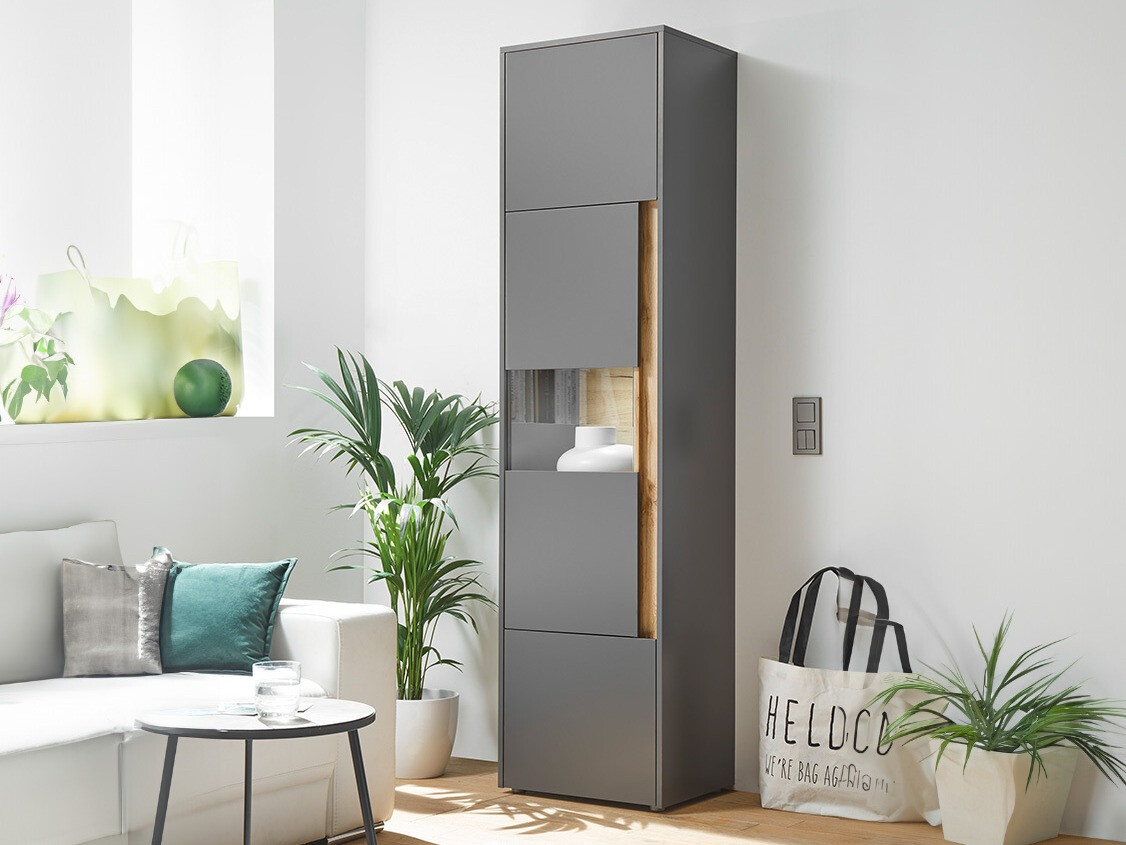 Regal Elbsori 100