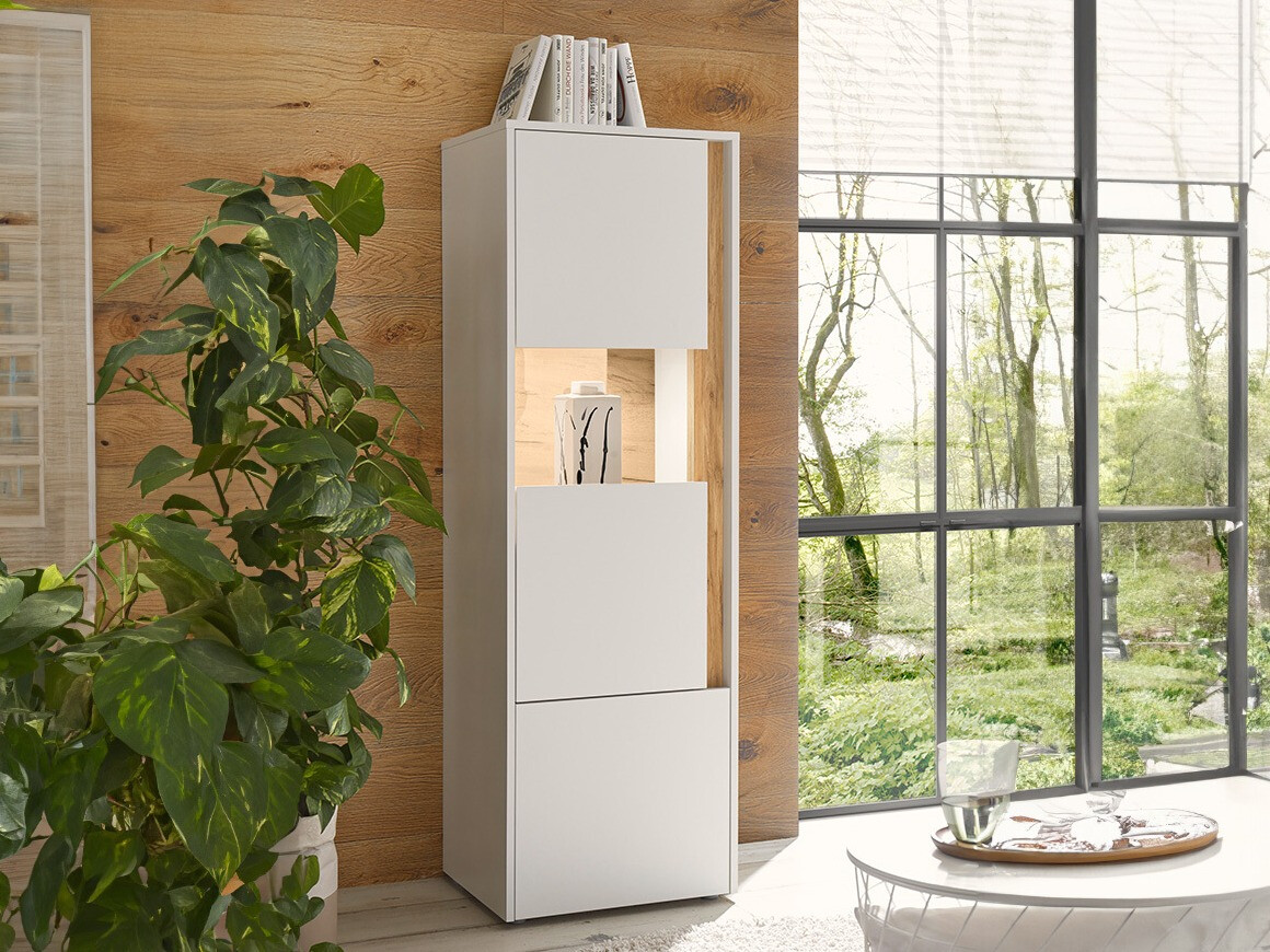Regal Elbsori 102