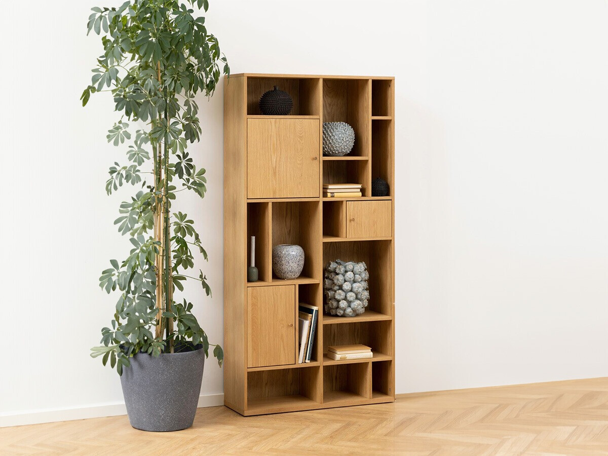 Regal Norsica 810