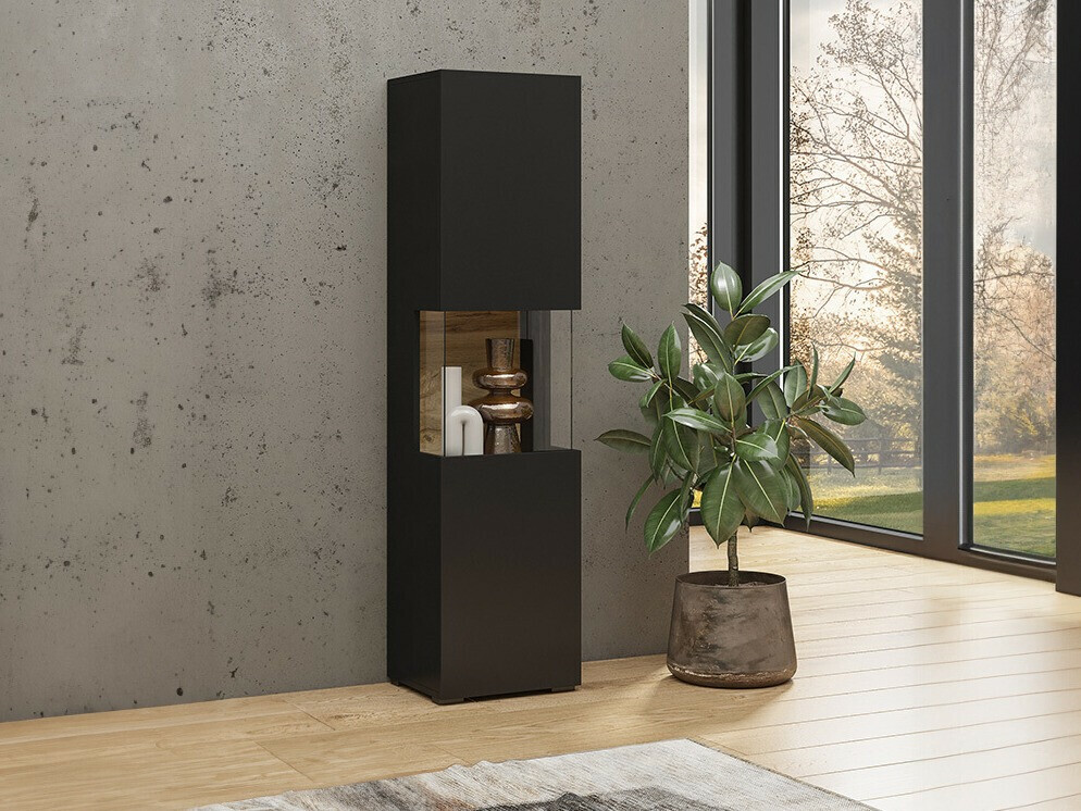 Regal Revmiru 100 (Schwarz + Wotan Eiche)