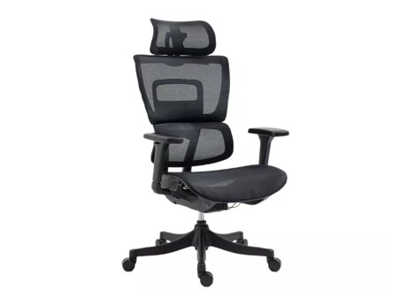 Bürostuhl Detroit 595 (Schwarz)