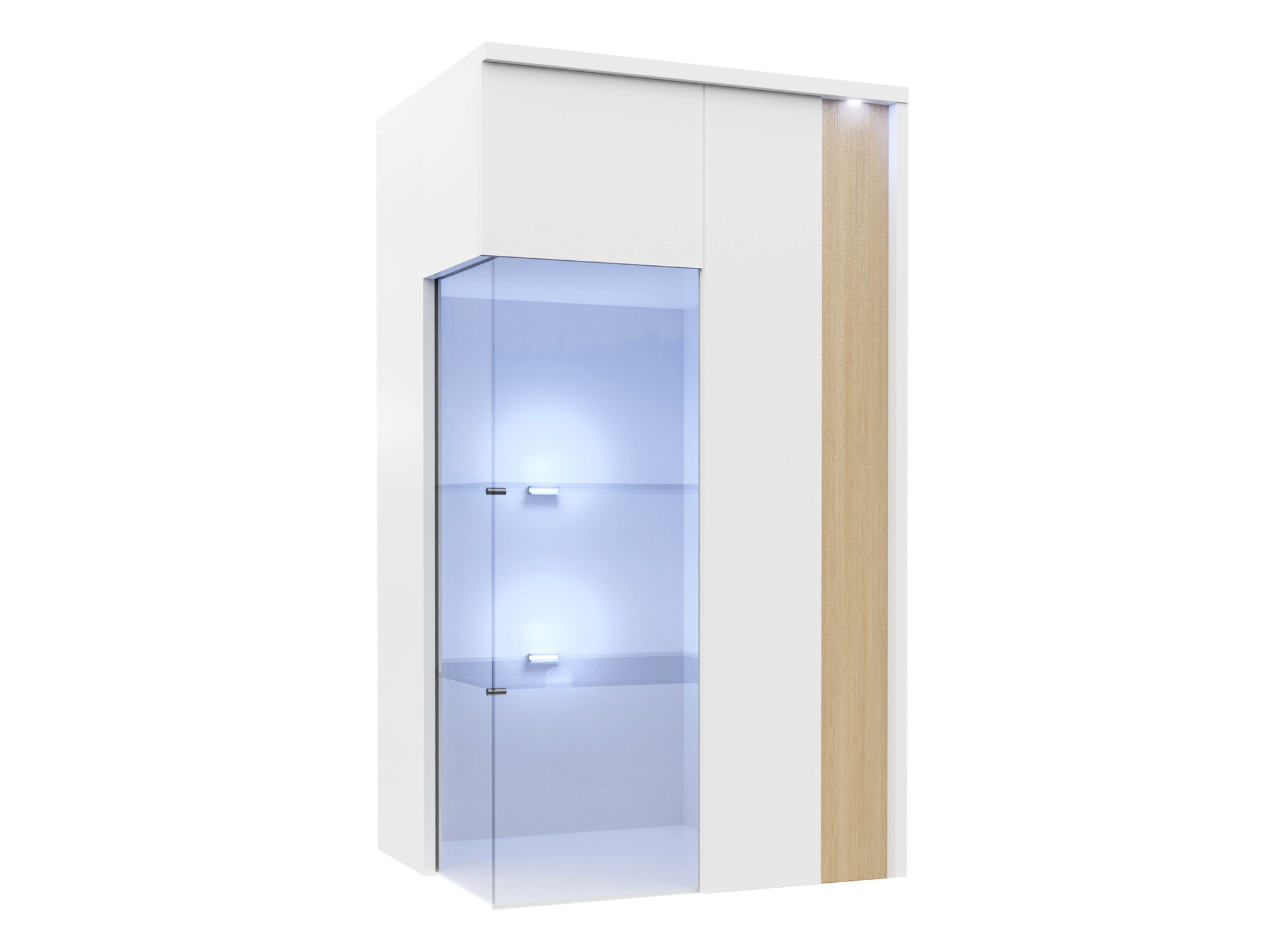 Hängeschrank Florem I