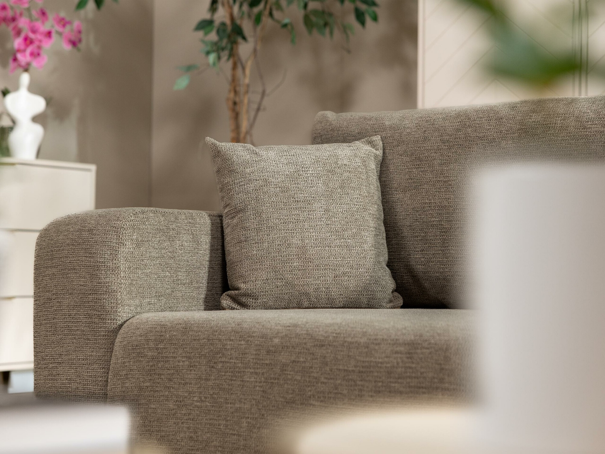 Schlafsofa Doctral (Lima 80)