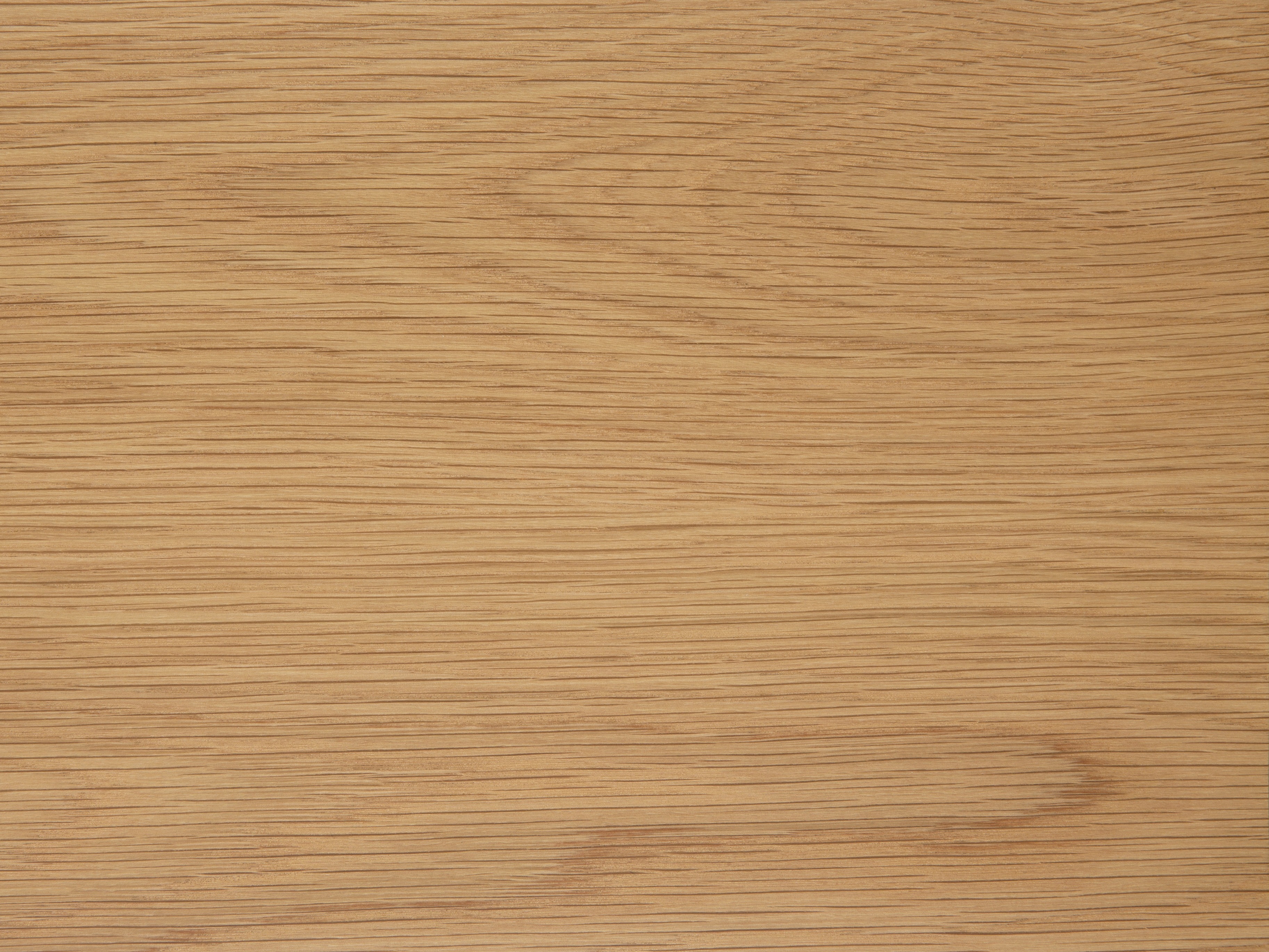 Stuhl Norsica 319 (Eiche)
