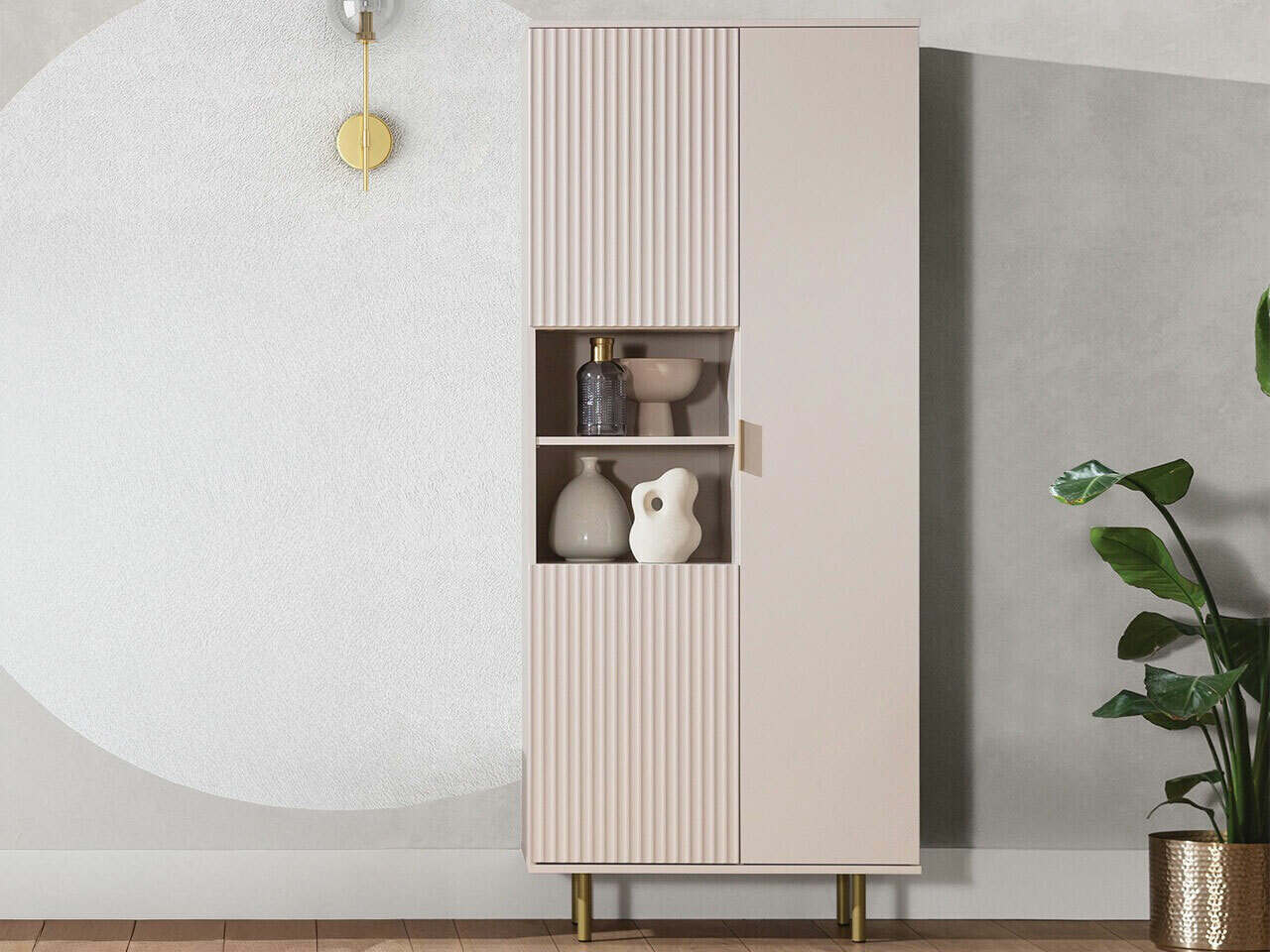 Regal Decus I (Kaschmir)