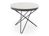 Couchtisch Houston 2063 (Weisser Marmor + Schwarz)