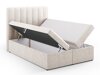 Boxspringbett Beckley 113 (Moly 04)