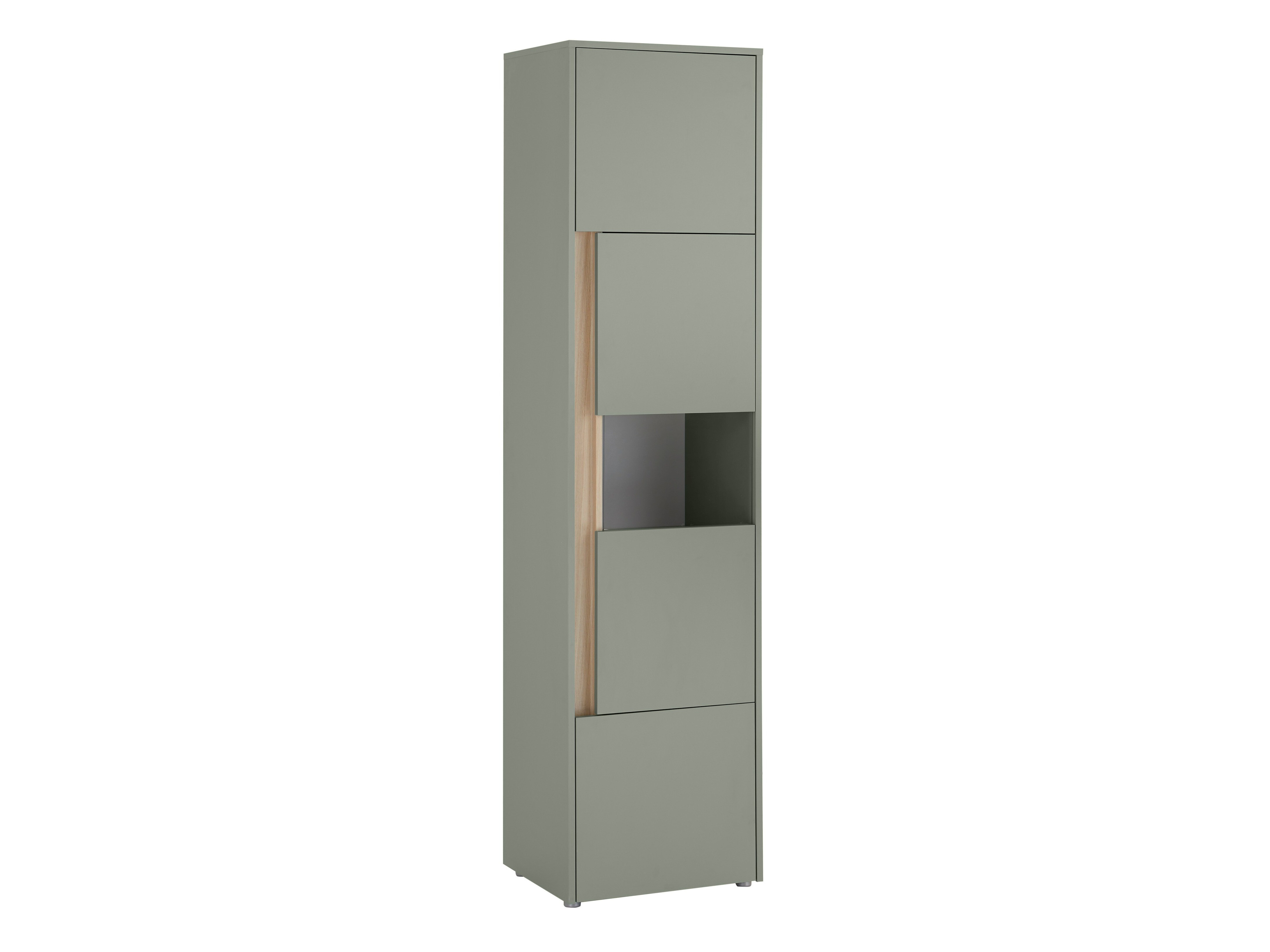 Regal Elbsori 100 (Grün + Eiche)