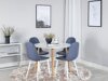 Essgruppe Dallas 291 (Blau + Weiss)