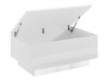 Couchtisch SD2083