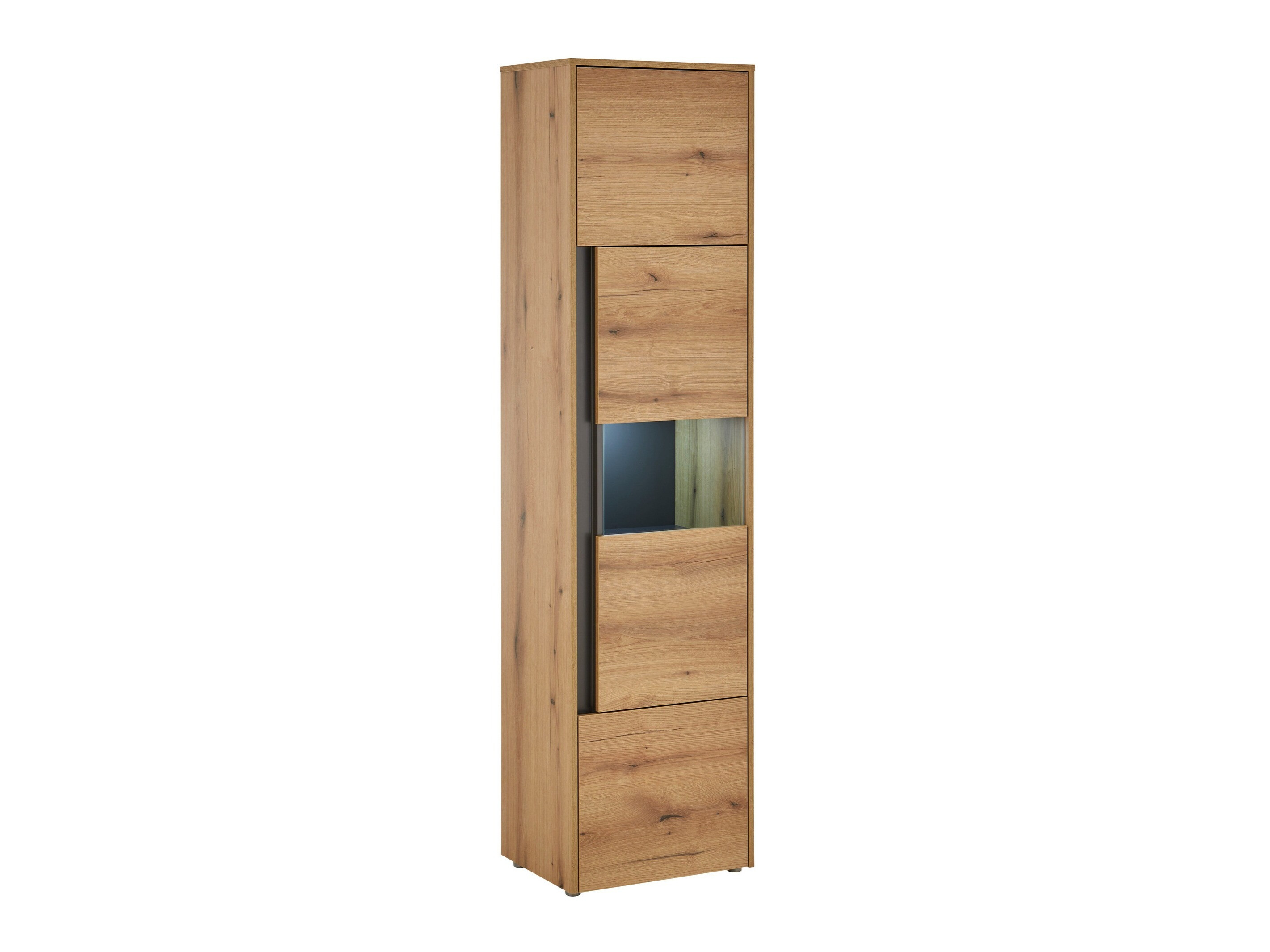 Regal Elbsori 100 (Eiche + Anthrazit)