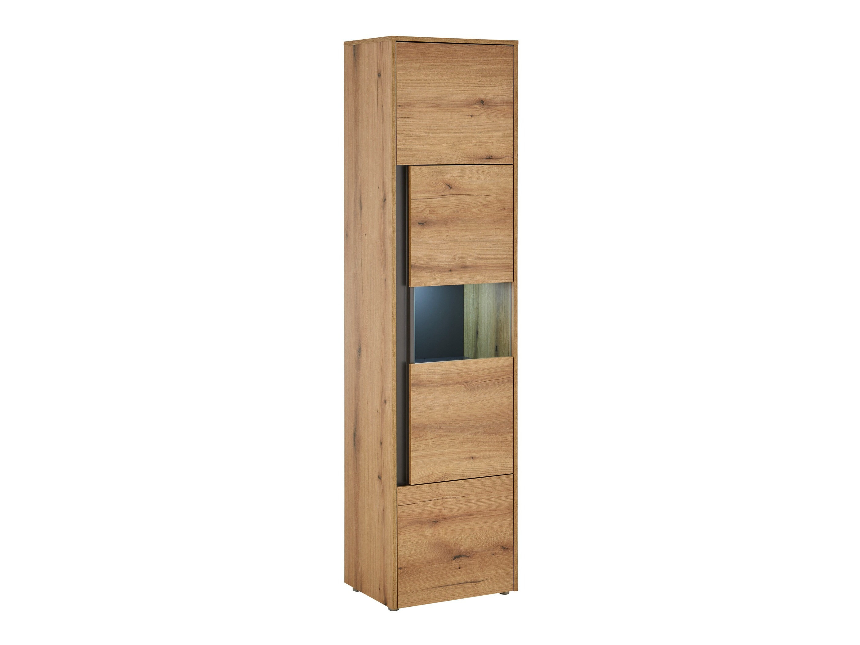 Regal Elbsori 100 (Eichenholzoptik + Anthrazit)