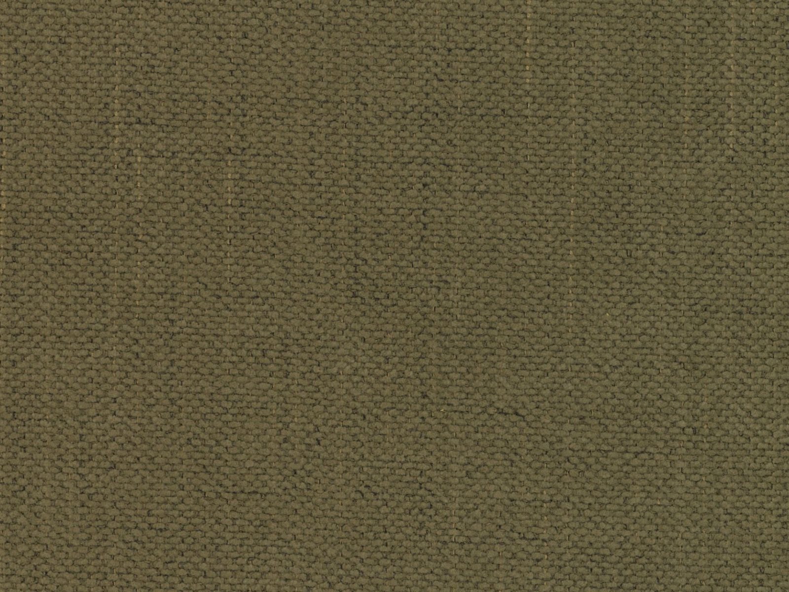 Bett Beckley 205 (Moly 38)