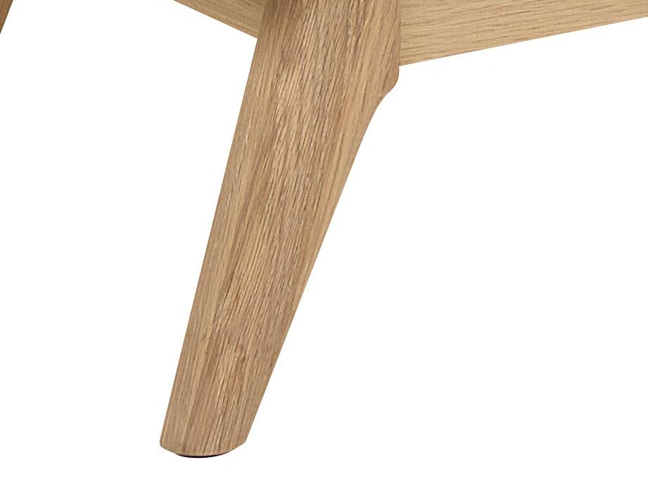 Regal Norsica Elmdome 113