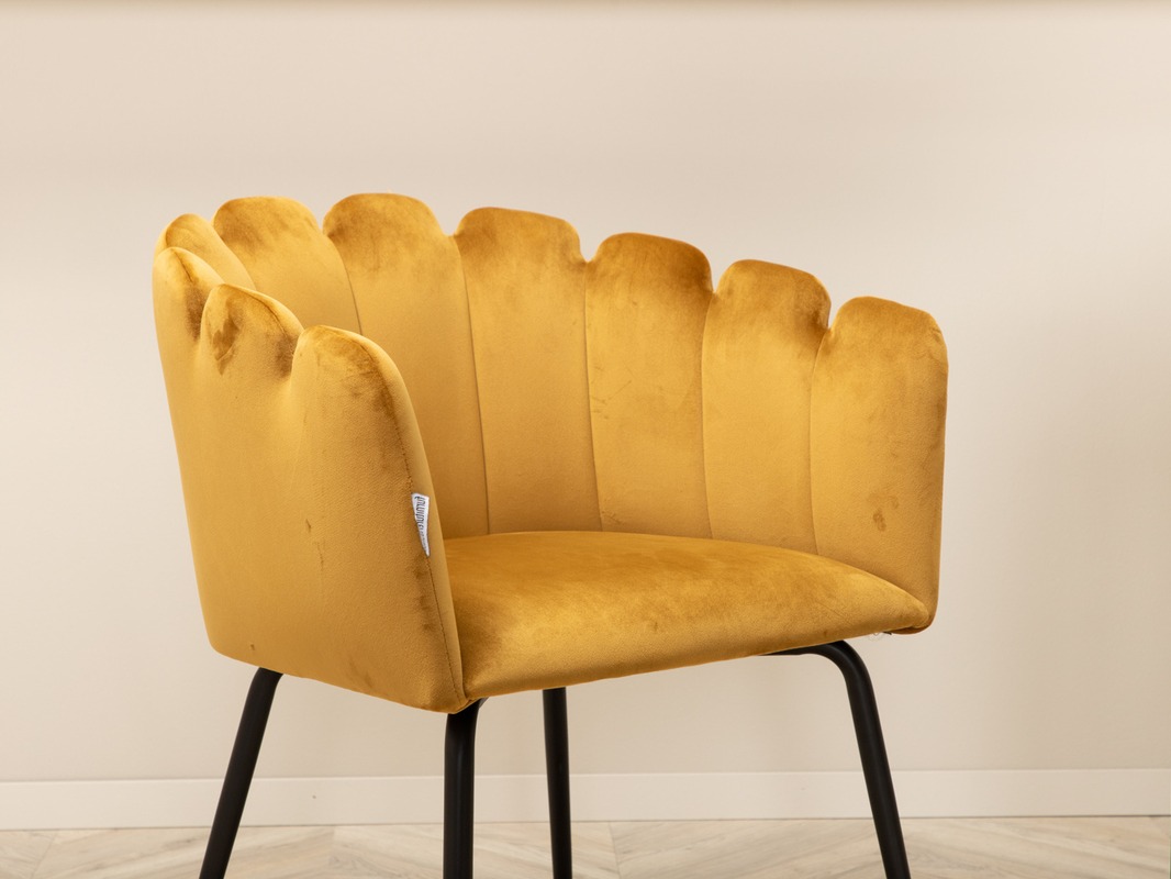 Essgruppe Dallas 5031