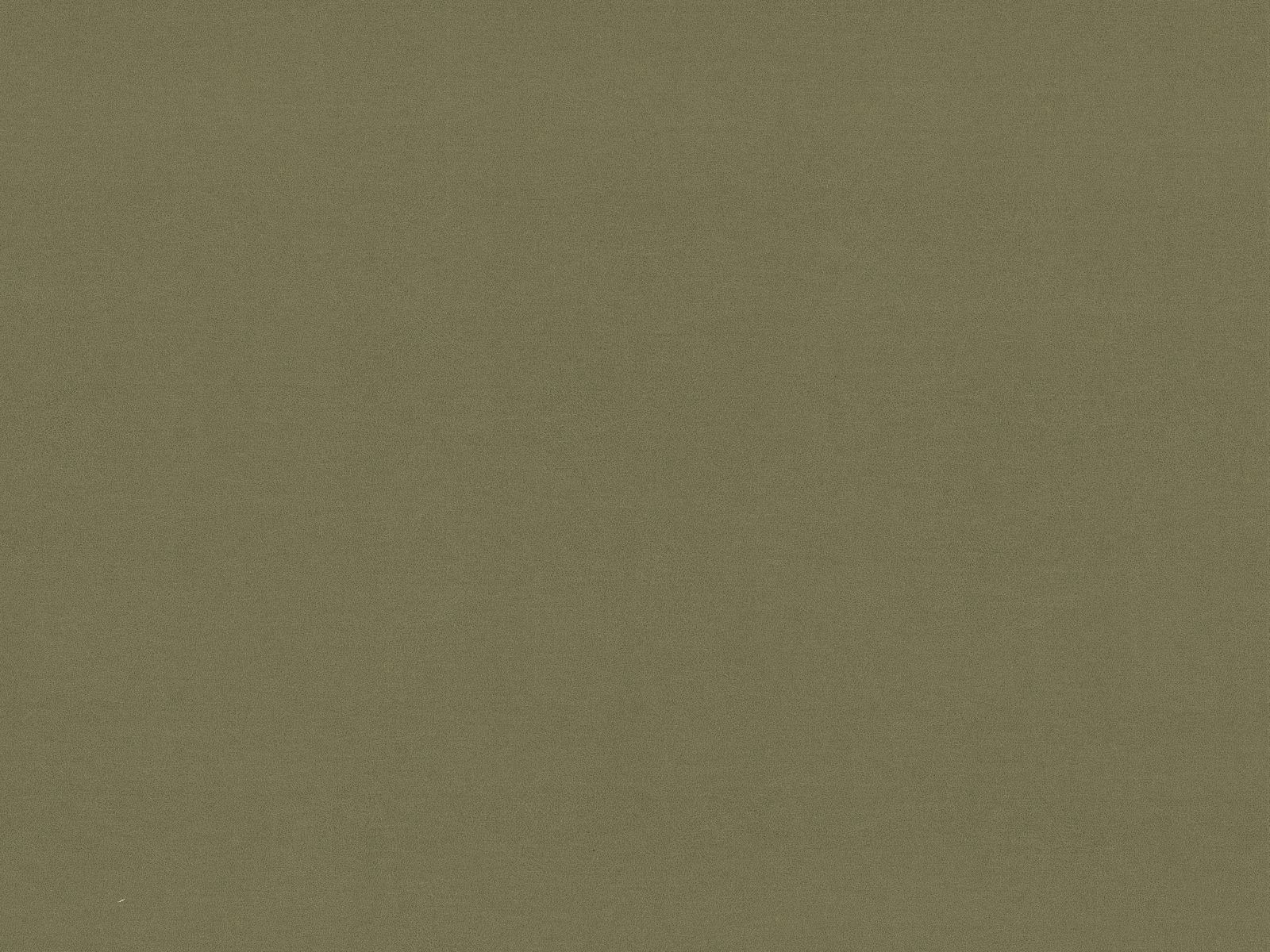 Bett Beckley 333 (Magic Velvet 2243 + Vega 37)