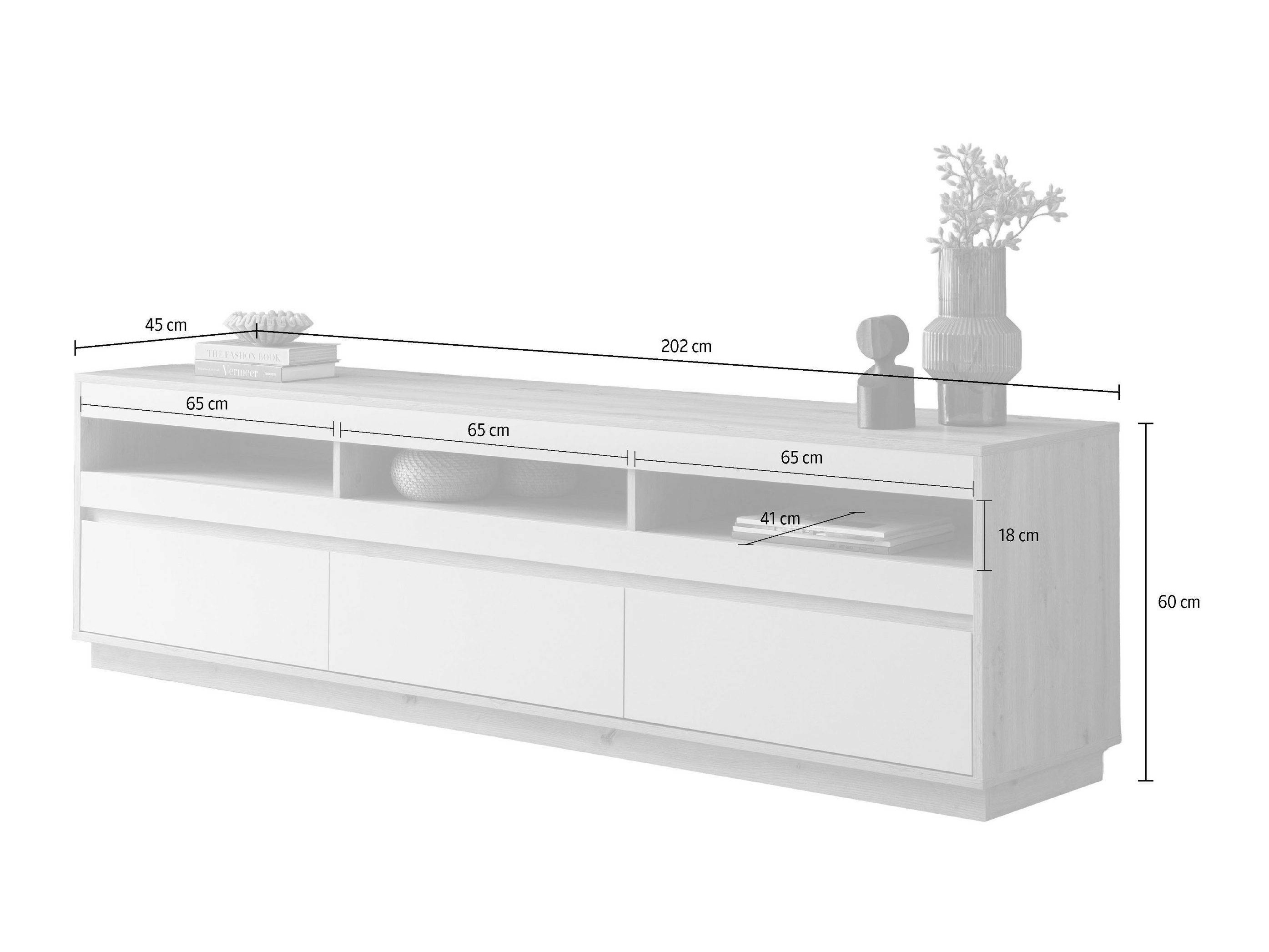 TV-Möbel Ferciro 101