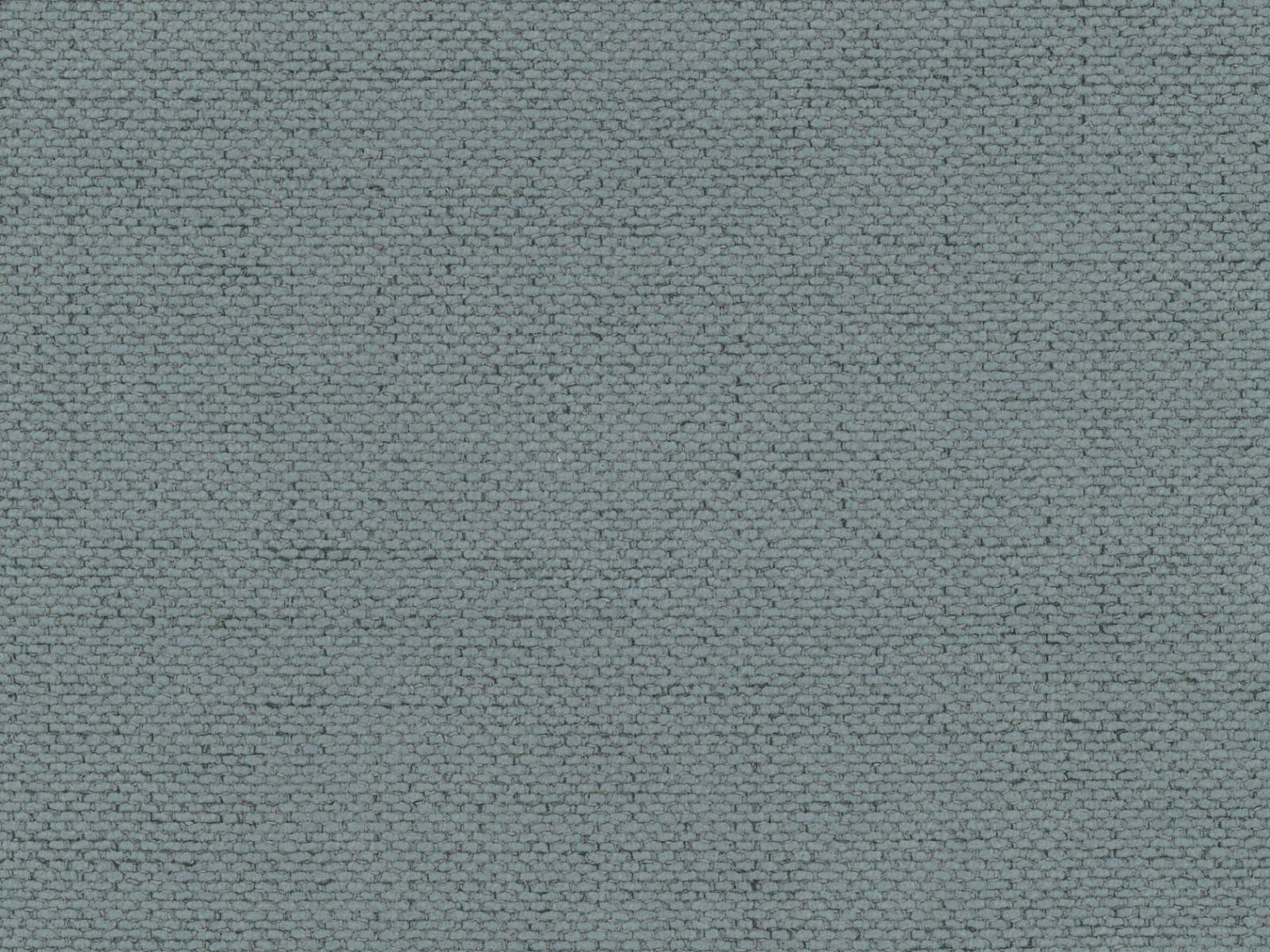 Bett Beckley 336 (Moly 74)