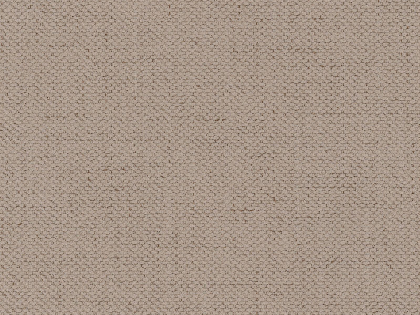 Bett Beckley 336 (Moly 11)