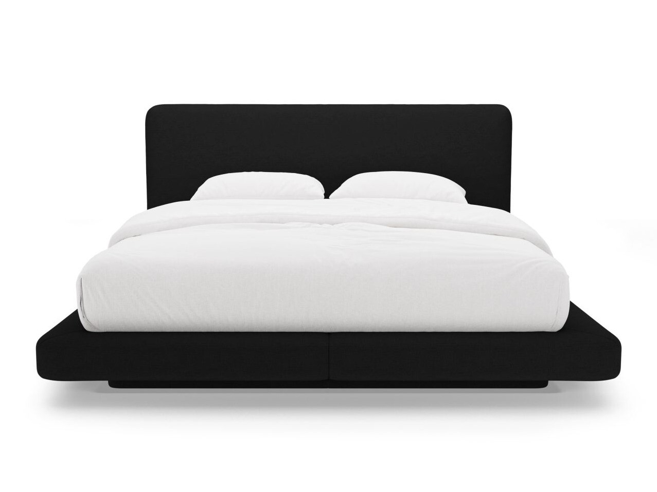 Bett Beckley 336 (Moly 99)