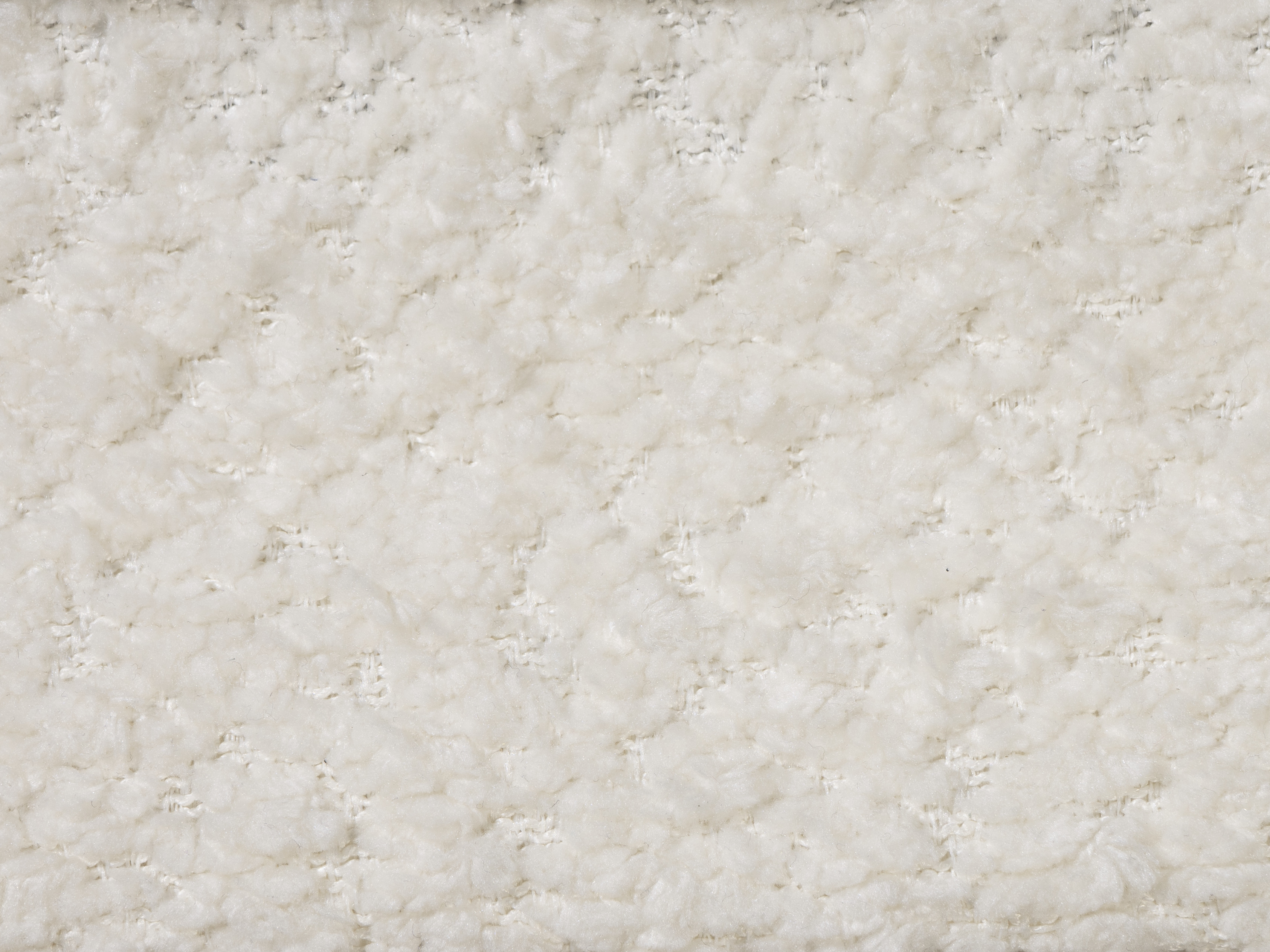 Bett Beckley 335 (CORAL 15)