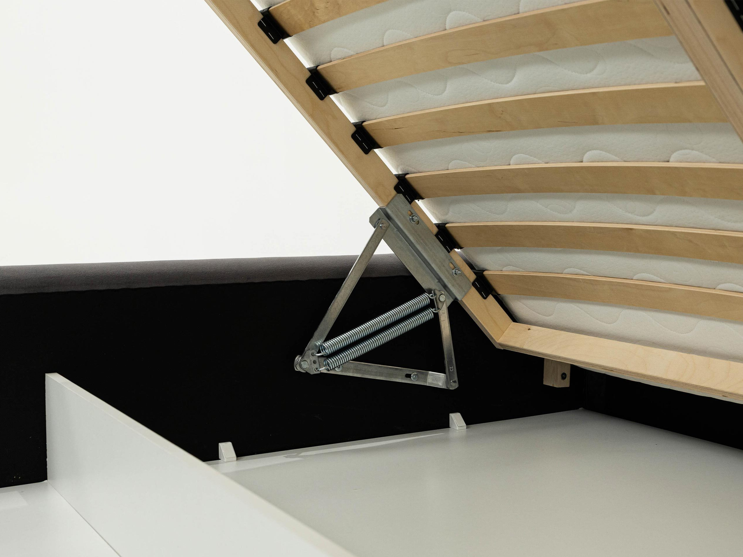 Bett Clario (Kronos 22)