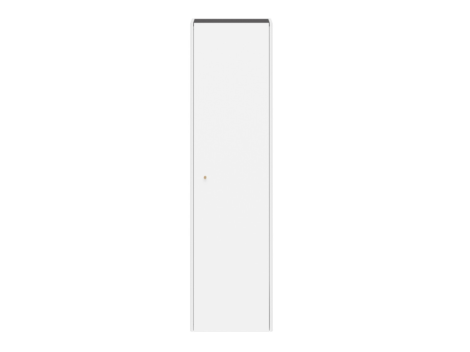 Wandregal SD2966