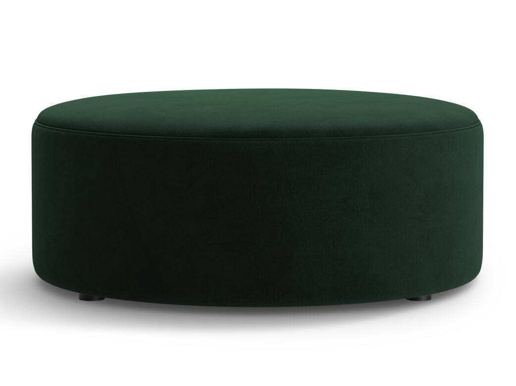 Hocker Beckley 379 (Salvador 07)