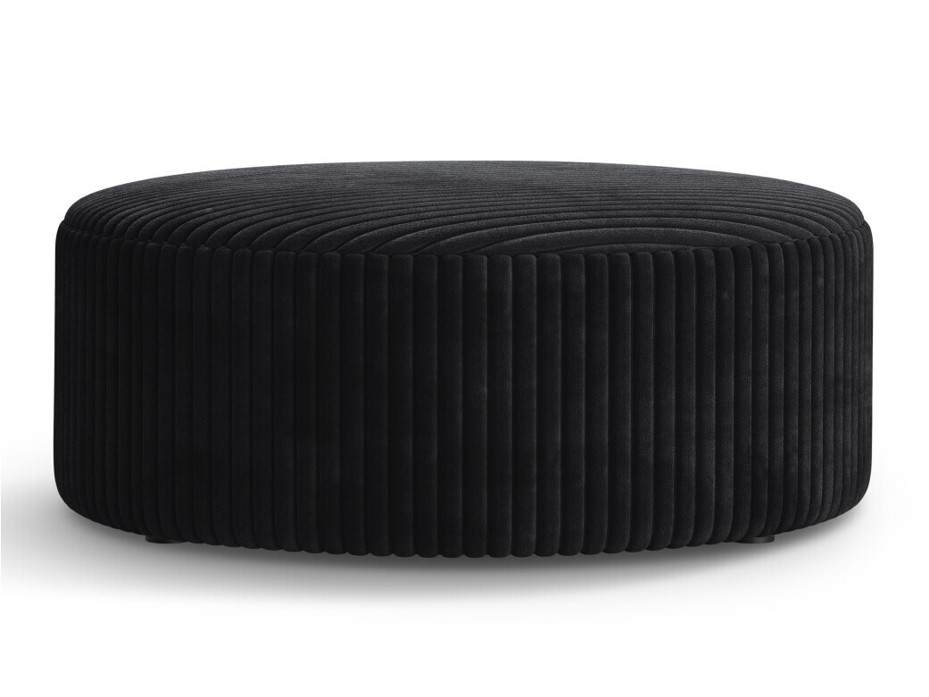 Hocker Beckley 379 (Tilia 100)