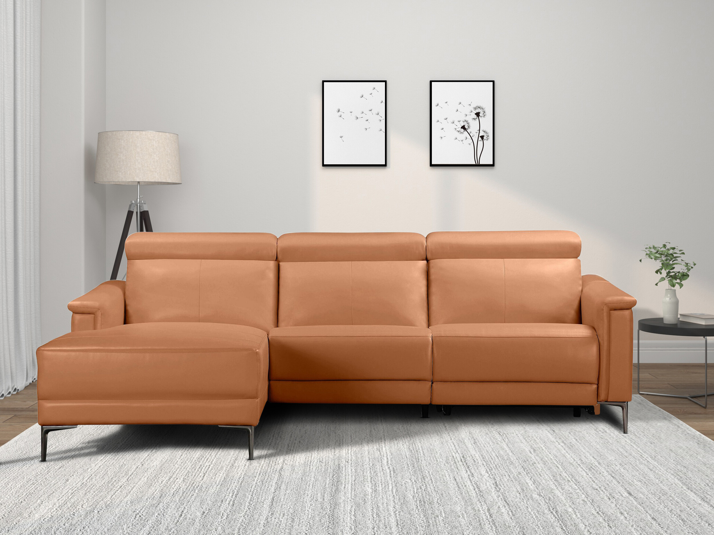 Ecksofa Liegesessel Evamare 106 (Braun)