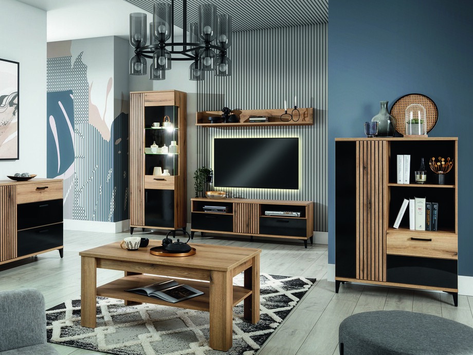 Regal Camcate 104