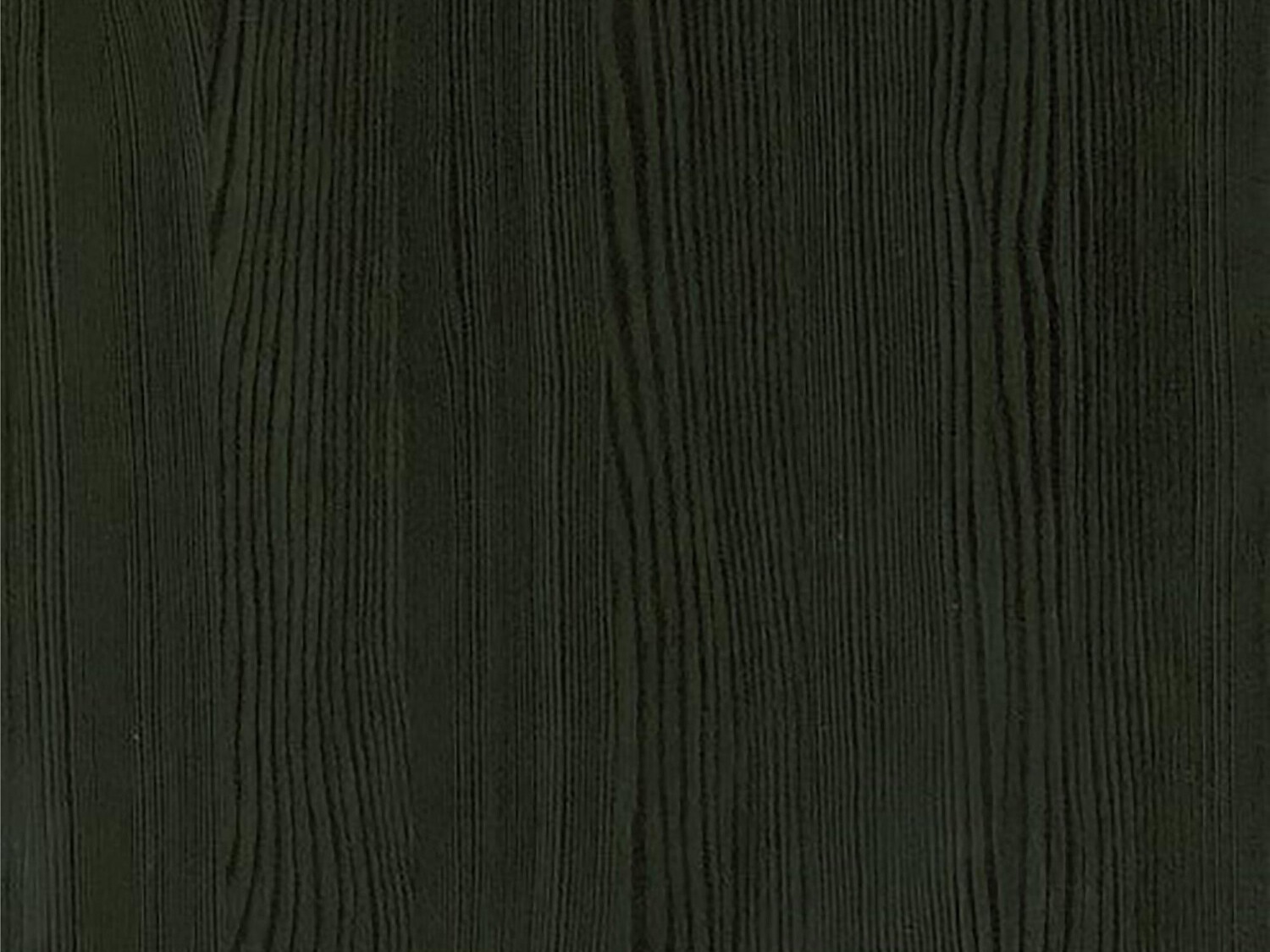 Regal Mircata 100