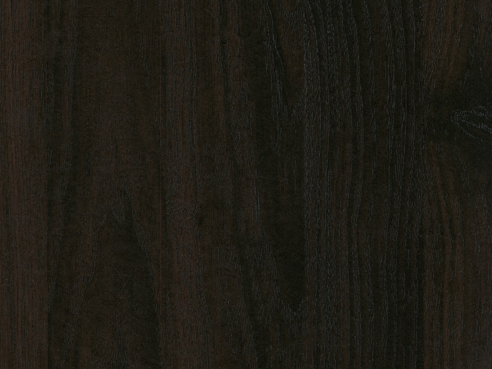 Regal Tulsa 558 (Dunkelbraun + Gold)