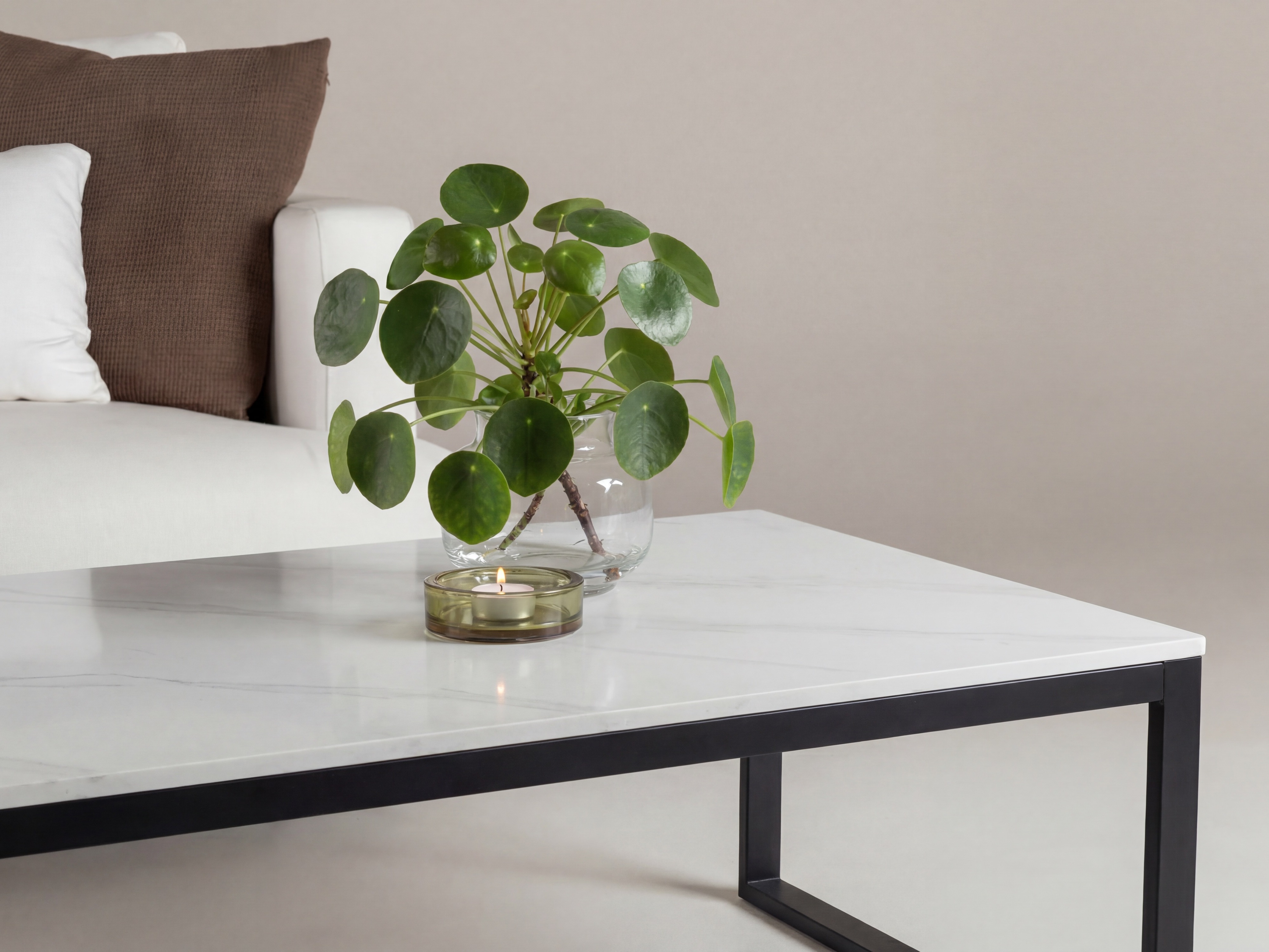 Couchtisch Dallas 5356